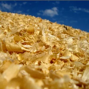 Опилки оптом в Саранске купить - оперативная доставка по всей России