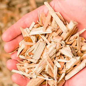 Щепа лиственная оптом в Саранске и других различных марок заказать от 16 тонн