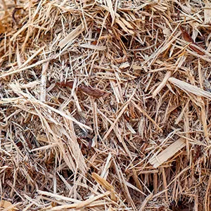 Щепа для арболита оптом в Саранске и других различных марок заказать от 16 тонн