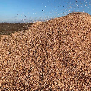 Щепа топливная оптом в Саранске от завода-производителя Лигнум Ресурс